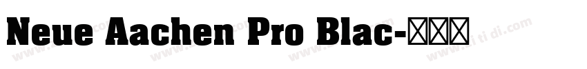 Neue Aachen Pro Blac字体转换